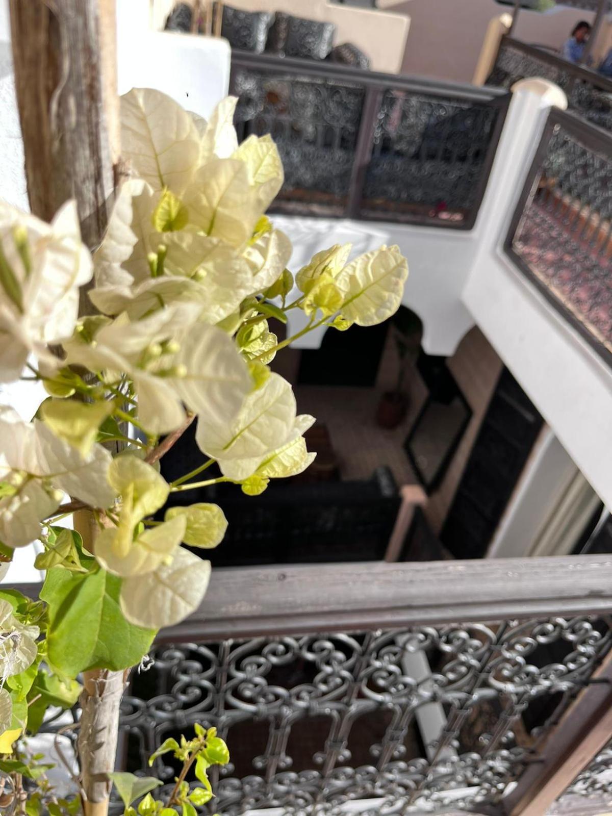 Riad Black Doors Marrakesh Buitenkant foto